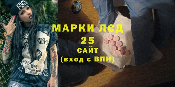 apvp Алексин