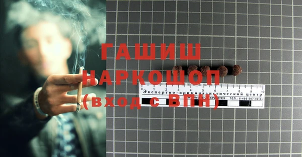 apvp Алексин