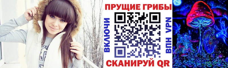omg зеркало Новопавловск Псилоцибиновые грибы GOLDEN TEACHER